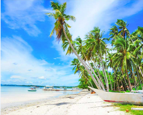 选对酒店，你会遇到一个梦中的杜马盖地