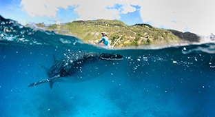 选对酒店，你会遇到一个梦中的杜马盖地