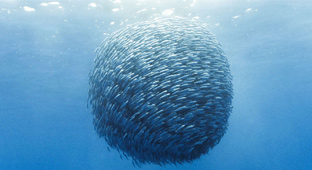 选对酒店，你会遇到一个梦中的杜马盖地