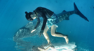 选对酒店，你会遇到一个梦中的杜马盖地